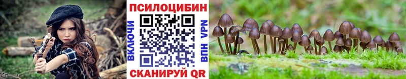 гидра как зайти  Себеж  Псилоцибиновые грибы GOLDEN TEACHER  где продают наркотики 