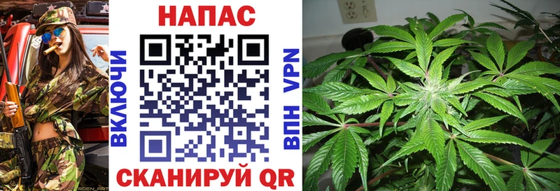 Шишки марихуана сатива  Себеж 
